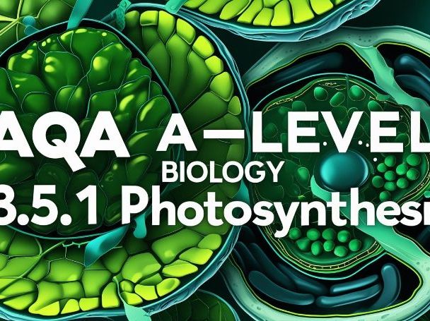 AQA A-level biology 3.5.1 Photosynthesis Whole topic | Teaching Resources