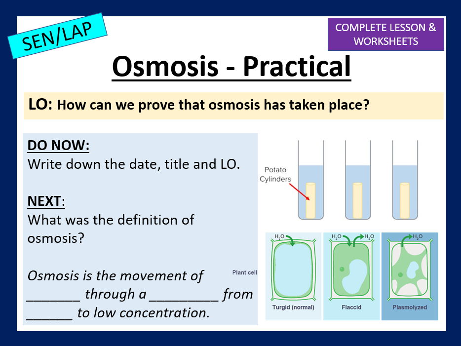 Year 10 - Osmosis Practical - SEN