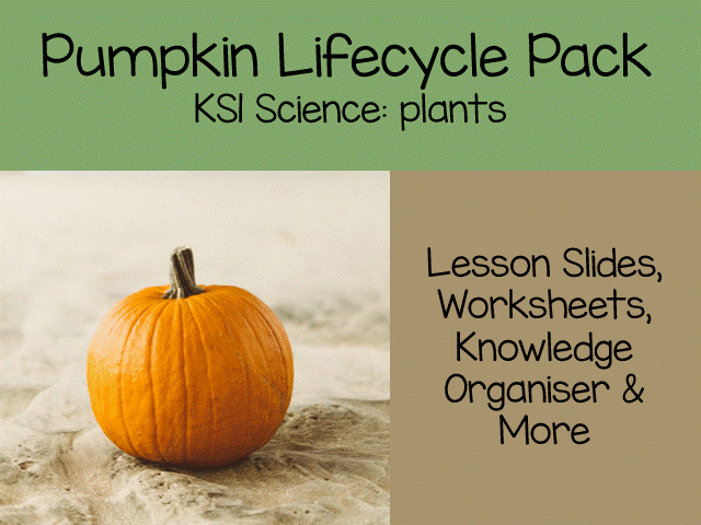 Life Cycle of a Pumpkin | KS1 Science Lesson & Worksheets & More