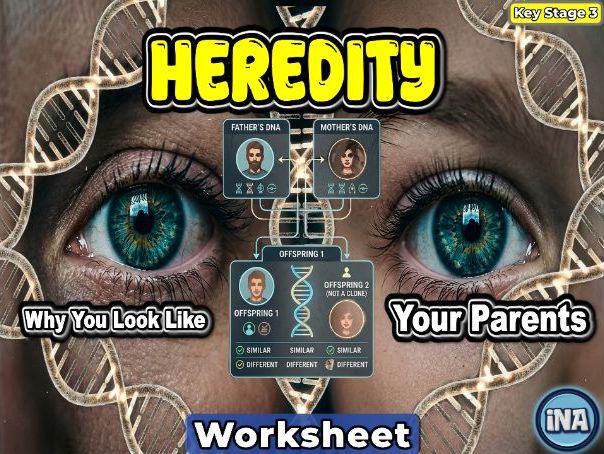 Heredity - KS3 Biology Worksheet