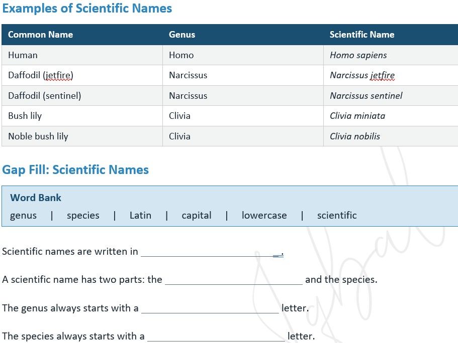 Classification of Organisms CB4c (KS3/GCSE) booklet