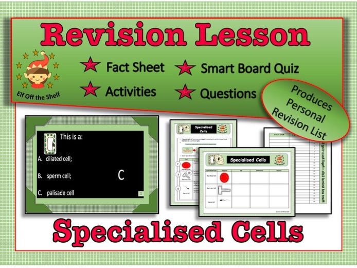 Plant and Animal Specialised Cells KS3 - Fully Resourced Revision Lesson