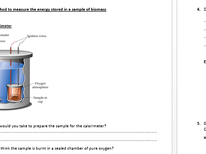 AQA A LEVEL Energy in food chains calorimetry worksheet | Teaching