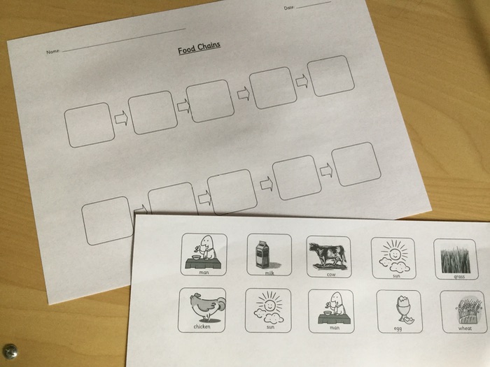 Food Chains Cut and Stick Activity