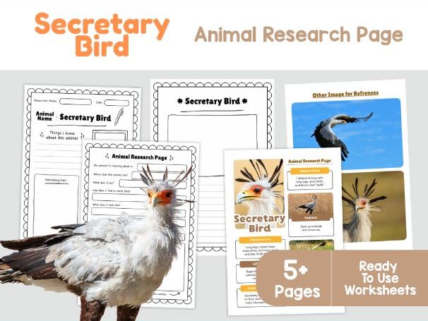 Secretary Bird Fact File | African Wildlife and Adaptations