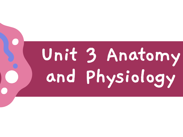 BTEC L3 Health and Social Care - Unit 3 The Cardiovascular System