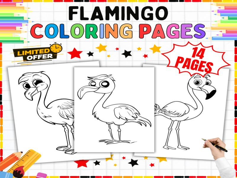 Flamingo Colouring Sheets | Printable Wading Birds Activities & Tropical Wildlife Art Worksheets (