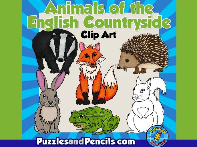 English Countryside Animals Clip Art | Colour and Black & White | 12 Animals