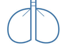 Animals, including humans - Drugs and Substance Impact