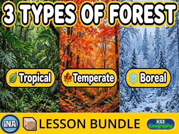 The Forests of the World - Complete KS3 Geography Lesson Pack