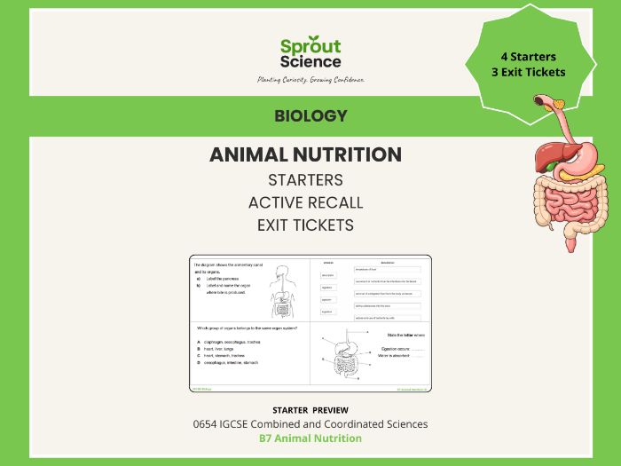 B7 Animal Nutrition | Starter Activities & Exit Tickets | IGCSE Biology