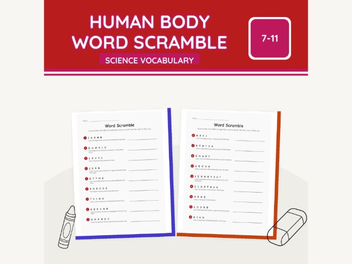 Human Body Word Scramble KS2 Science | 5 pp