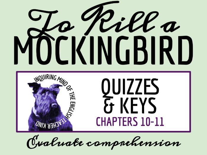 To Kill a Mockingbird Chapters 10 and 11 Quiz and Answer Key | Independent Reading Worksheet