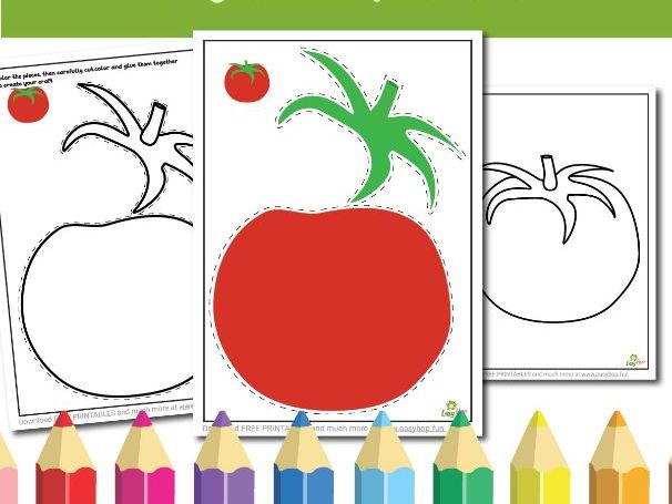 Tomato Art & Craft Printable Pack | Cut, Color, and Glue Activity for Kids | 3-Page Digital Download