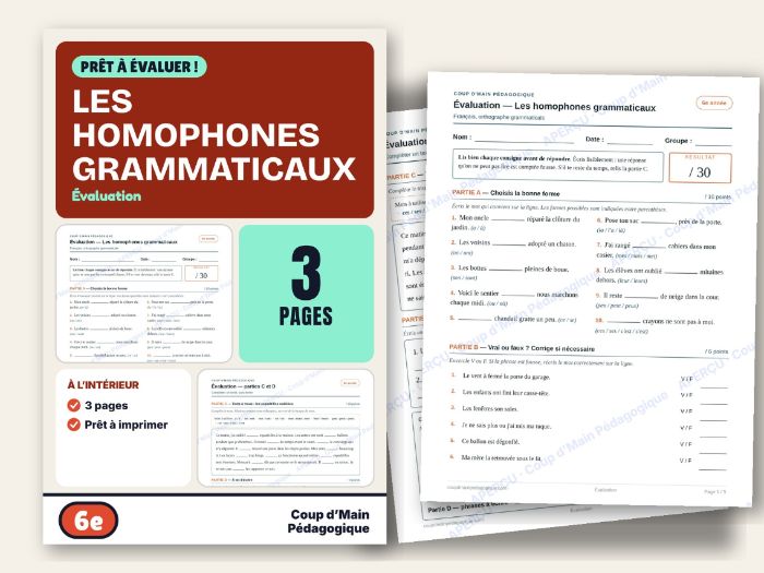French Homophones Test Grade 6 Grammar Assessment | Évaluation des homophones