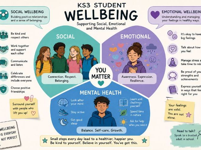 Emotional regulation, half term plan for KS2 - KS3, lesson plan for sensory, emotional regulation