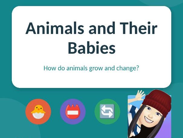 Year 2 Science - Animals and their babies