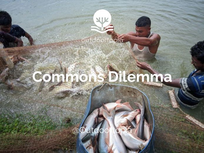Commons Dilemma
