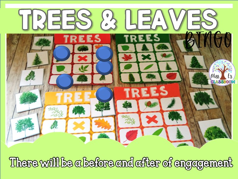 Trees &amp; leaves BINGO game | Teaching Resources