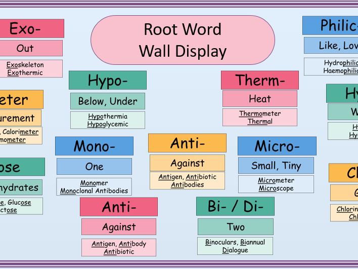 Root Words - Wall Display