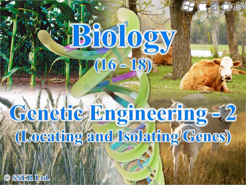 BIOA_3.8.4.1 Genetic Engineering 2 - Locating & Isolating Genes