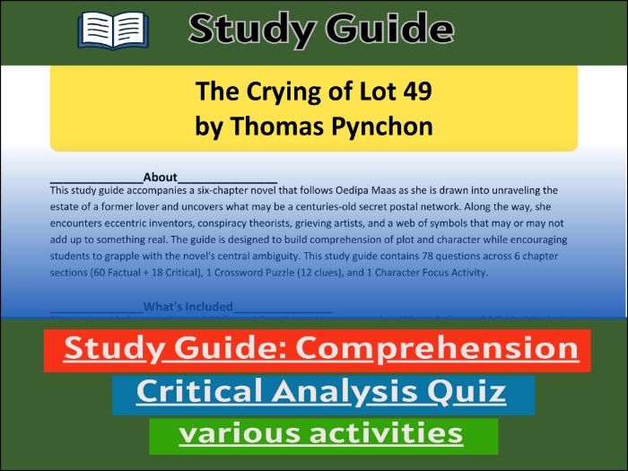 Study Guide for :The Crying of Lot 49 | Comprehension 91����t