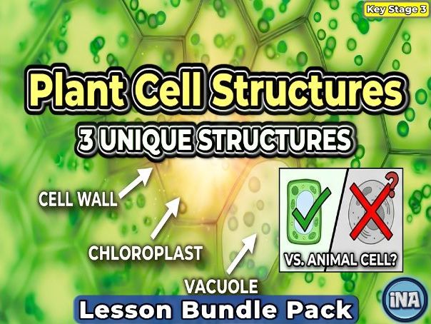 Plant Cell Structures and Their Functions - Complete KS3 Biology Lesson Pack