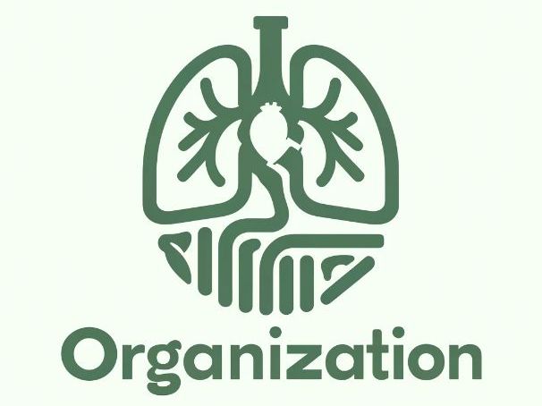 Gas Exchange GCSE Biology Worksheet with Answers | Alveoli, Inhalation and Exhalation