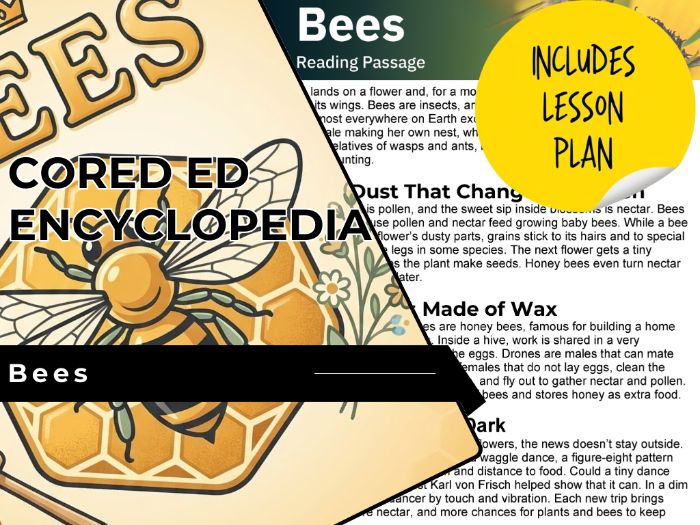 Bees Reading Comprehension Passage