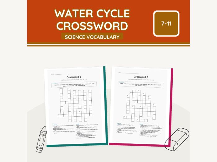 Water Cycle Crossword KS2 Science | 9 Sheets