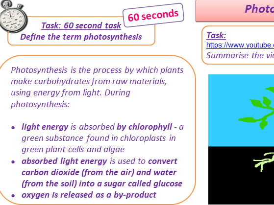 GCSE AQA Science B8 Photosynthesis Powerpoints, exam questions and activities