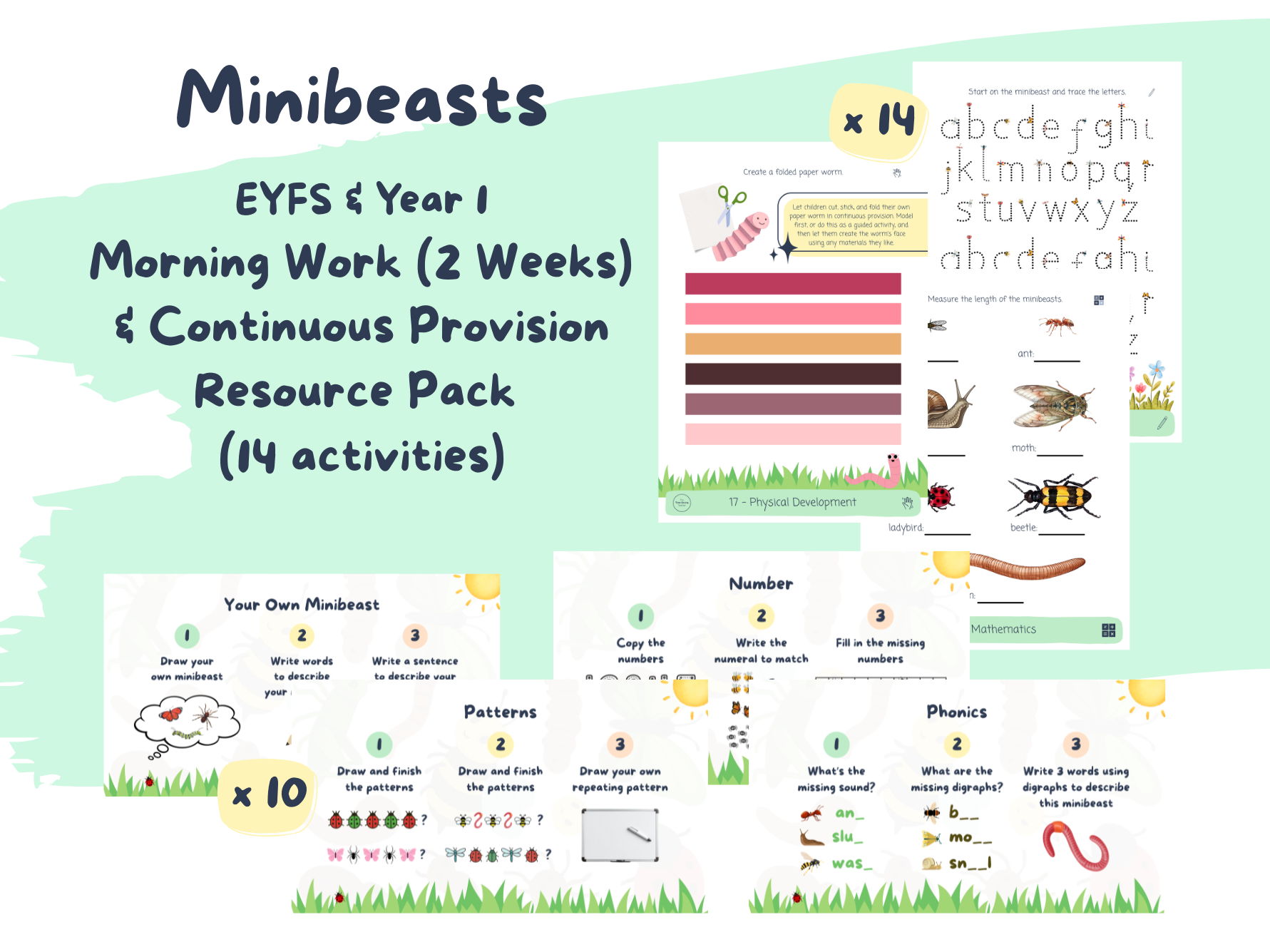 Minibeasts Morning Work (2 Weeks) & Continuous Provision Resource Pack (14 Activities) - EYFS Summer