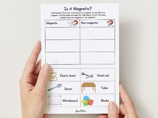 Is it Magnetic? Science Sorting Activity (Forces)