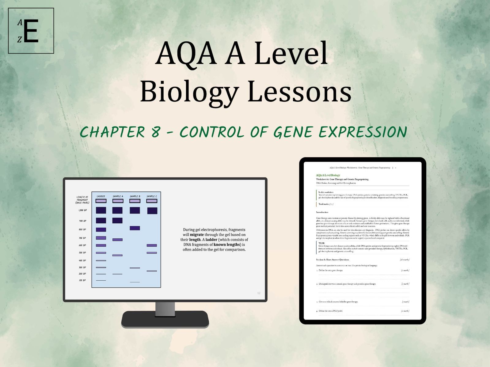 AQA A Level Biology Lessons Chapter 8 - The Control of Gene Expression