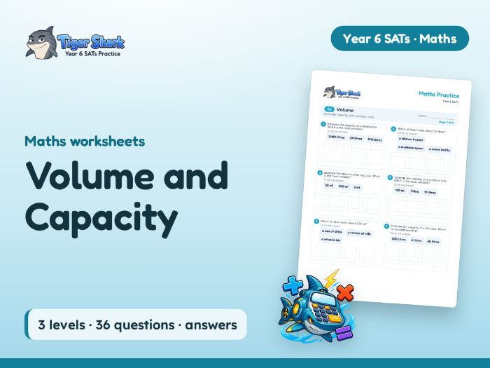 Volume and Capacity Worksheets: Year 6