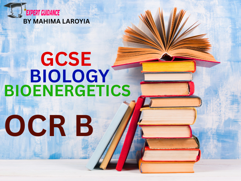 OCR B - GCSE BIOLOGY BIOENERGETICS