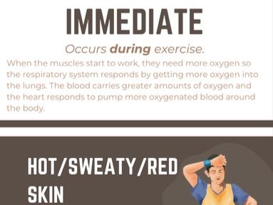 GCSE PE - Immediate, short and long term effects of exercise
