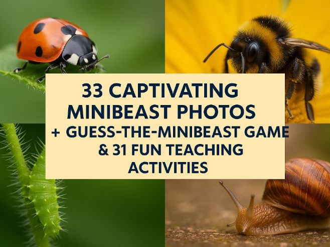33 Captivating Minibeast Photos + Guess-the-Minibeast Game & 31 Fun Teaching Activities
