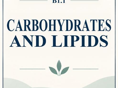 IB Biology HL B1.1 Carbohydrates And Lipids MCQ Practice