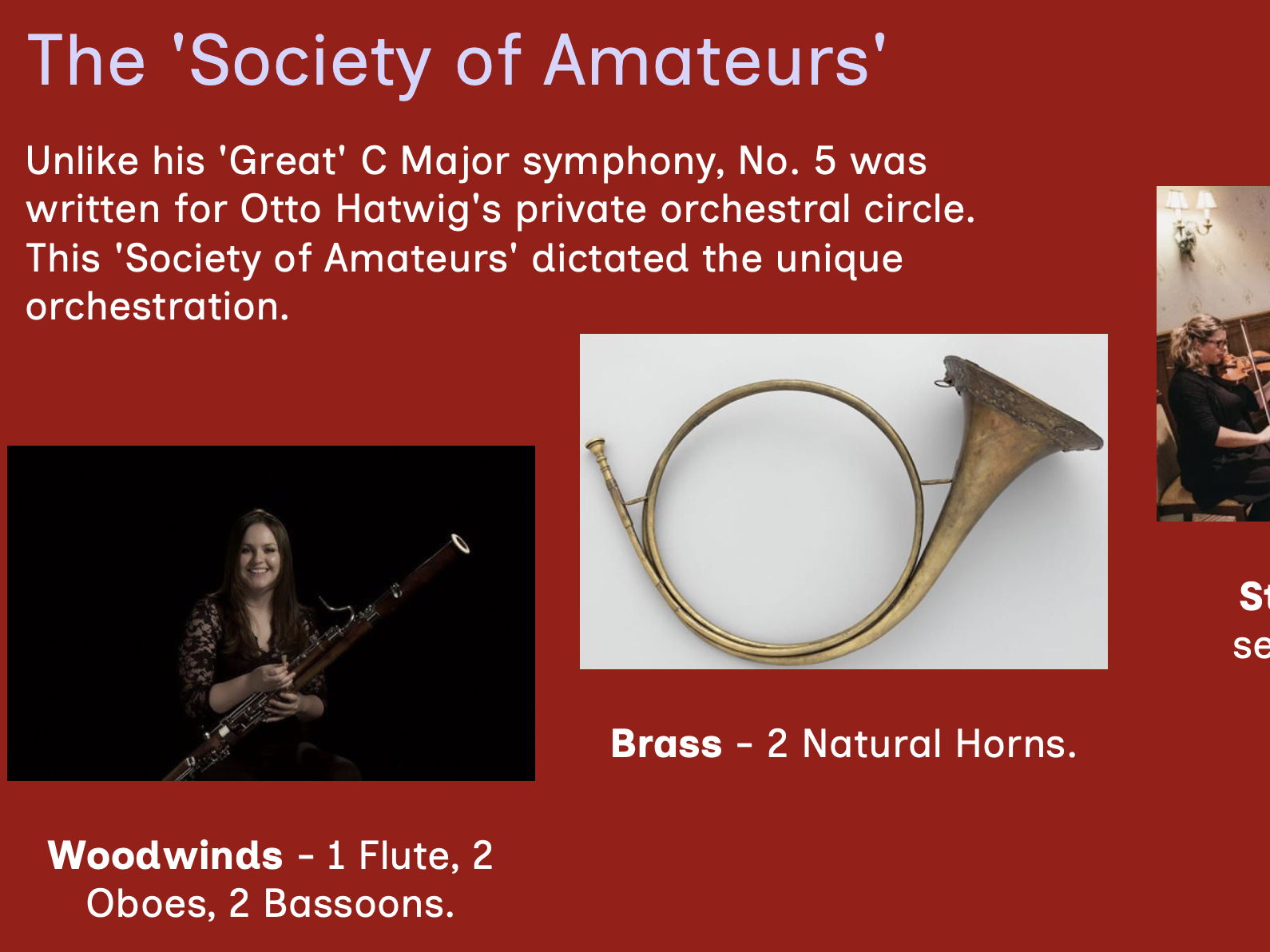 Schubert Symphony No 5 in Bb major - 8 lesson bundle