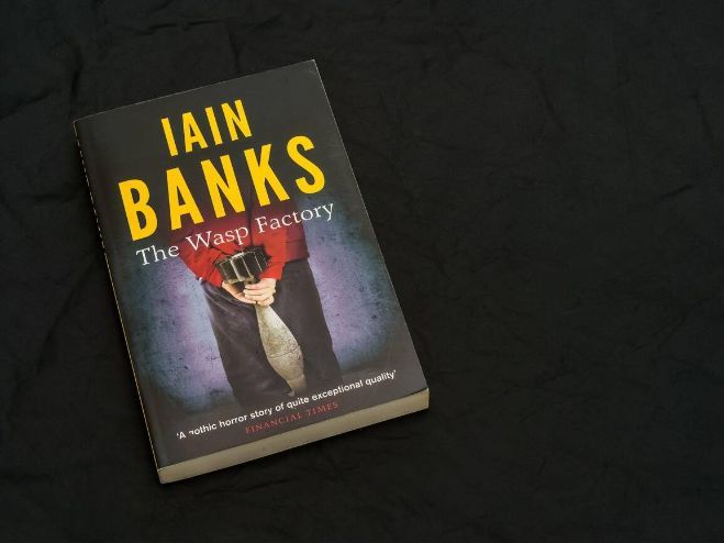 The Gothic: ‘The Wasp Factory’