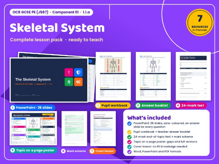 OCR GCSE PE (J587) 01: Skeletal System – Complete Topic Pack