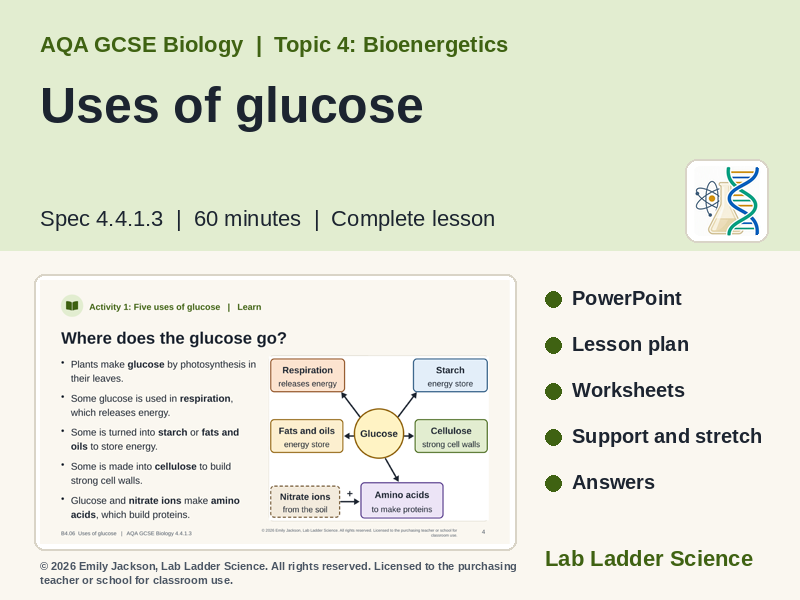 B4-06 Uses of Glucose: AQA GCSE Biology