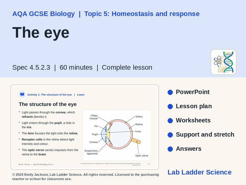 B5-05 The Eye: AQA GCSE Biology