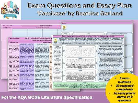 'Kamikaze' GCSE Exam Questions and Essay Plan (AQA)