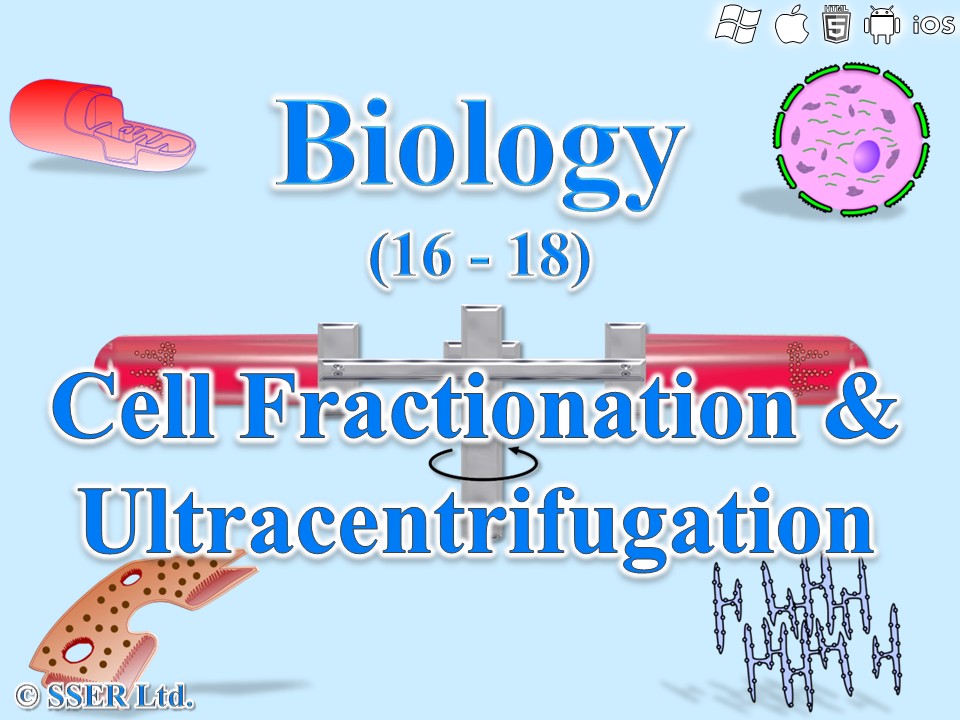 BioA_3.2.1.3 Studying Cells 4 - Cell Fractionation & Ultracentrifugation
