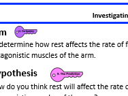 KS3 Investigating Chicken wings Write-up