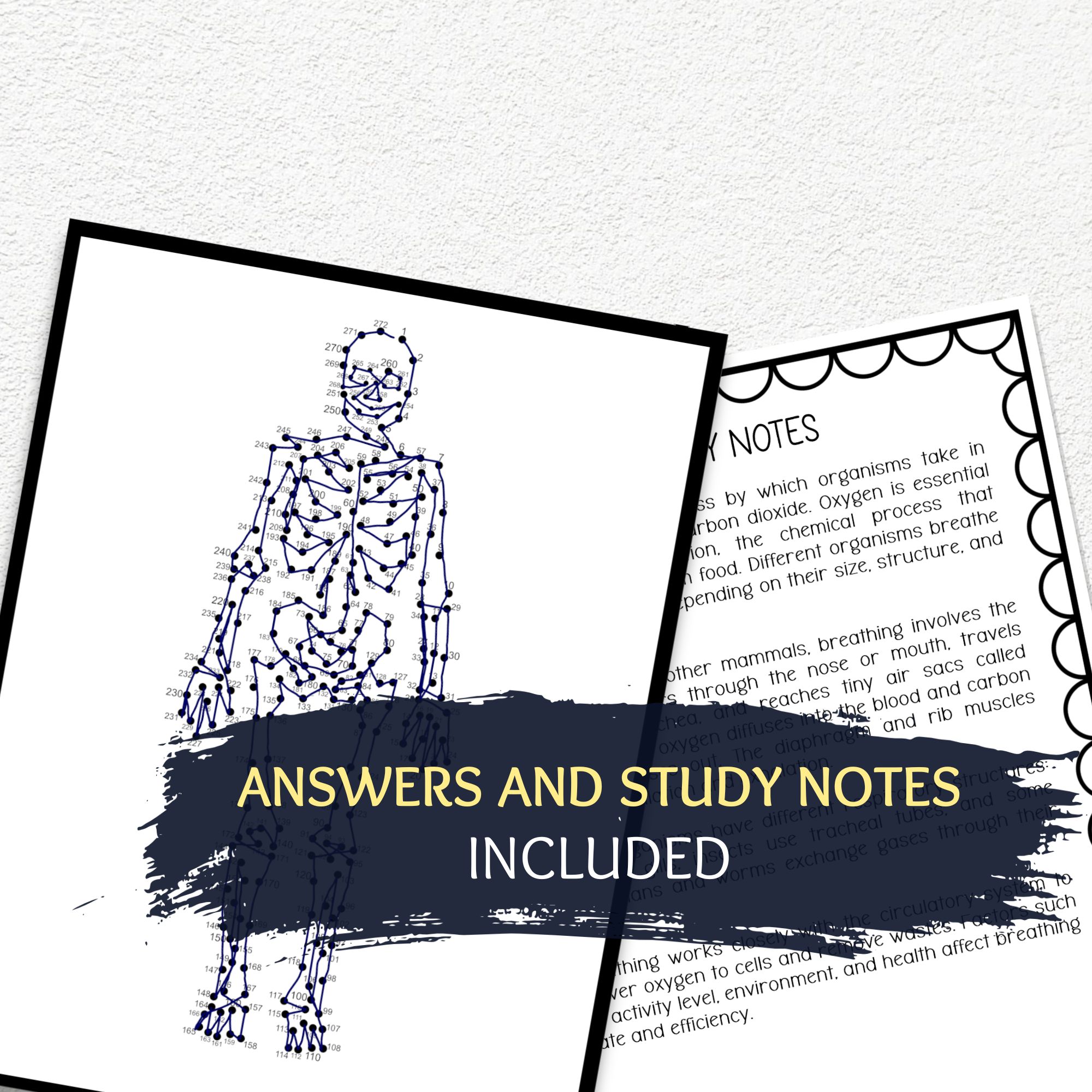 Skeleton Dot-to-Dot Puzzle, Human Anatomy Activity | Teaching Resources