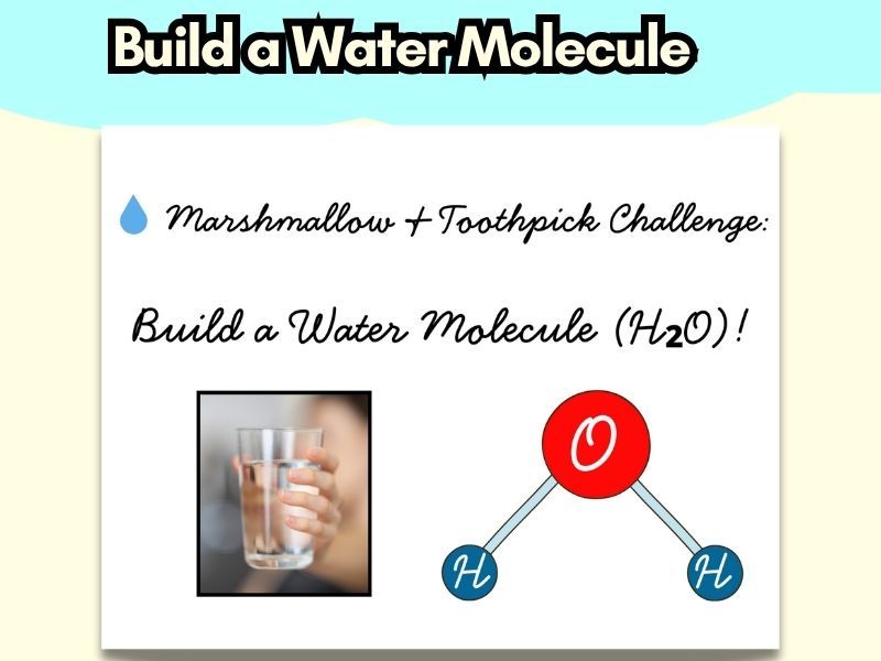 Water Molecule STEM Challenge | Build a 3D H₂O Model