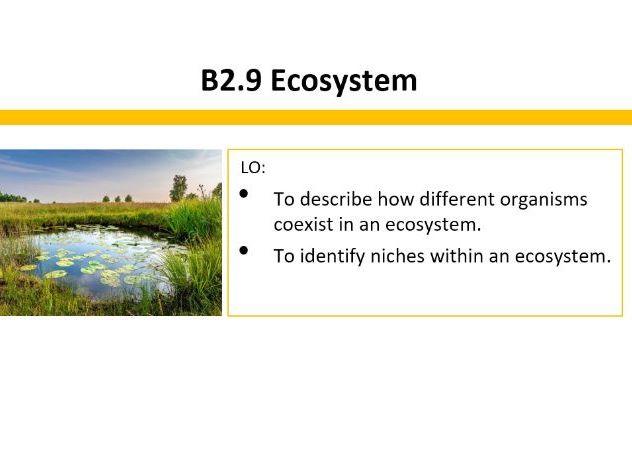 B2.9 Ecosystem (lesson slides & plan)